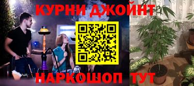 индика Беслан