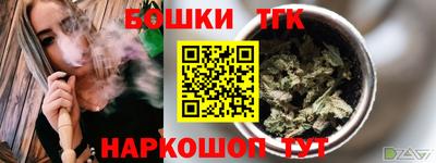 индика Беслан