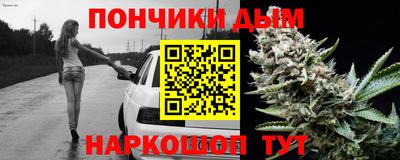 индика Беслан
